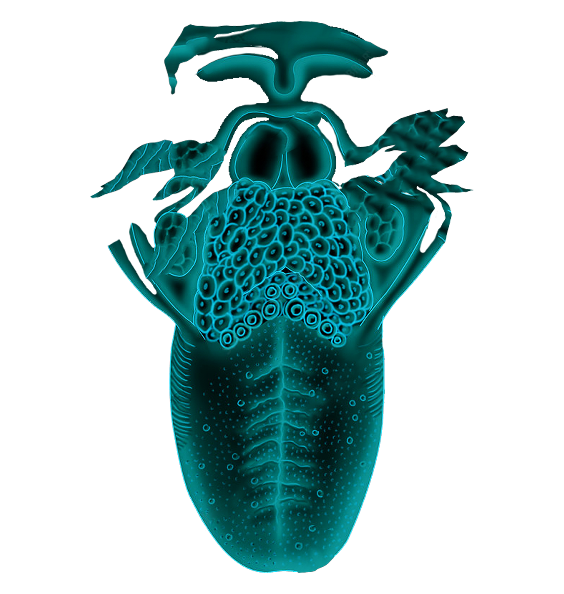 Sub%20Lexia%20Logo%203